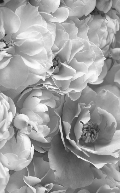 Elise Merci Beaucoup Et Bel Apres Midi A Toi