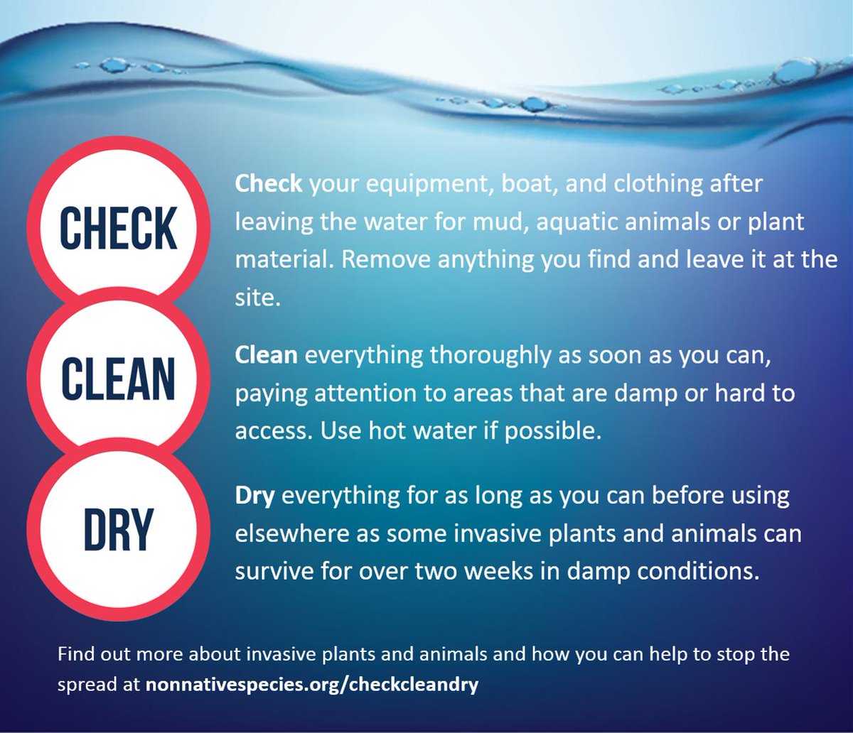 CheckCleanDryGB's tweet photo. Planning to get out on the water this #bankholidayweekend? Remember to #CheckCleanDry when you’re finished https://t.co/GS1SwVDv7W https://t.co/Ch37fumOMk