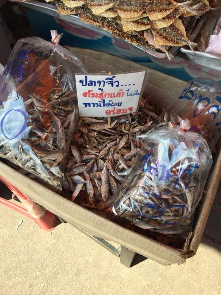 bnasae's tweet photo. เกิดมาชาตินี้ก็เพิ่งได้ยินนี่แหละ"ปลาทูจิ๋ว"....จริงๆก็คือลูกปลาทูที่จับขึ้นมาโดยเรือปั่นไฟจับปลากะตัก ประชาชนเห็นแต่ข้าราชการ/รัฐบาลไม่เห็น แต่โฆษณาโครมๆว่าจะพัฒนาสู่ความยั่งยืน https://t.co/OydM0igG4W