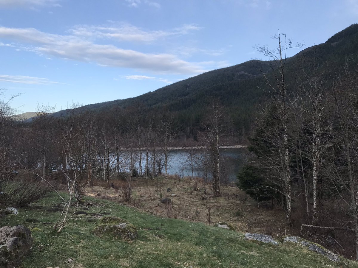 FacilitatorUna's tweet photo. What an inspirational venue for the @encompassnw board retreat last month! A pleasure to #facilitate such a great group with a powerful mission. #accomplishments plus #strategicjunctureanalysis leads to #strategicdirections #oldgrowth https://t.co/OHcCIFgpQn