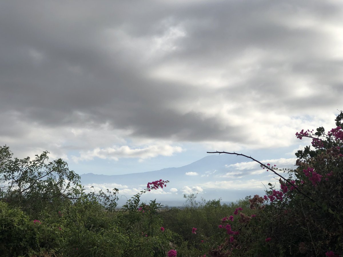 S_Montesanti's tweet photo. Morning views of Mount Kilimanjaro. Looking forward to teaching global health promotion to the new cohort of MPH students at @cuhas_bugando this week. @EliasNyanza #globalhealth #capacitybuiling #mentorship https://t.co/nBBsoGRbxx