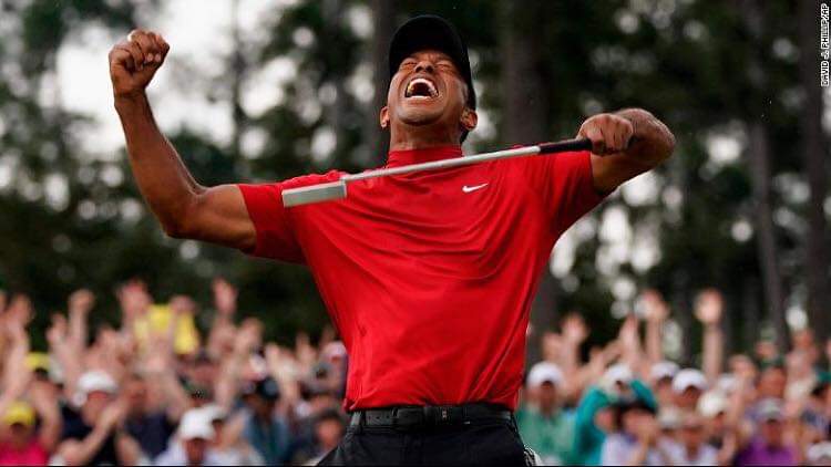 ngcebomdima's tweet photo. Get up, 'dust' yourself it's never too late, GO GET THEM TIGER!  #MondayMotivation https://t.co/DmfyoDNuwr