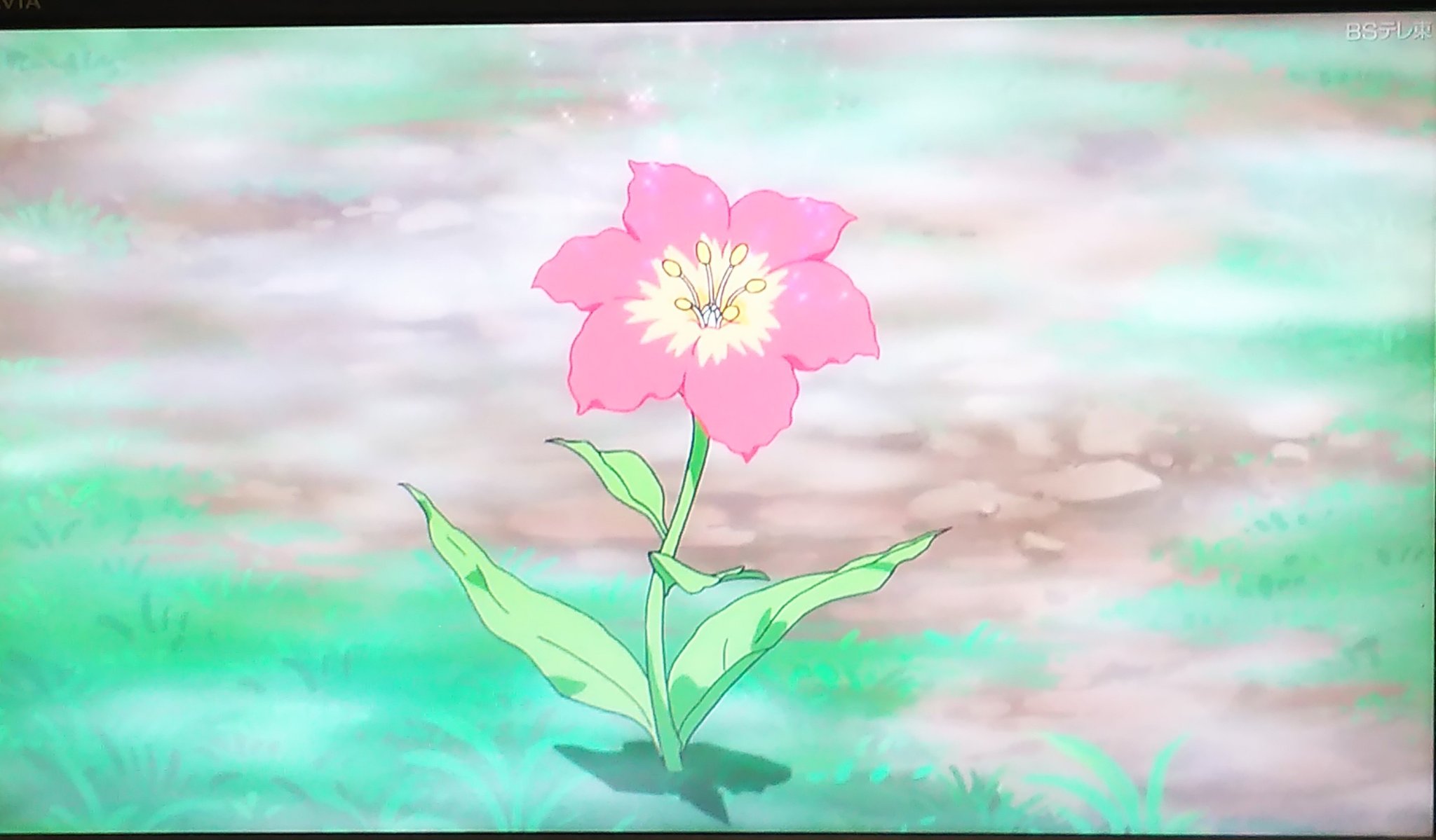 くっさん ポケモンサン ムーン カプ レヒレの霧の中で ２月１０日放送 とてもいい話だった アニポケ マオママ ムーランド カプレヒレ T Co Umintdf64r Twitter