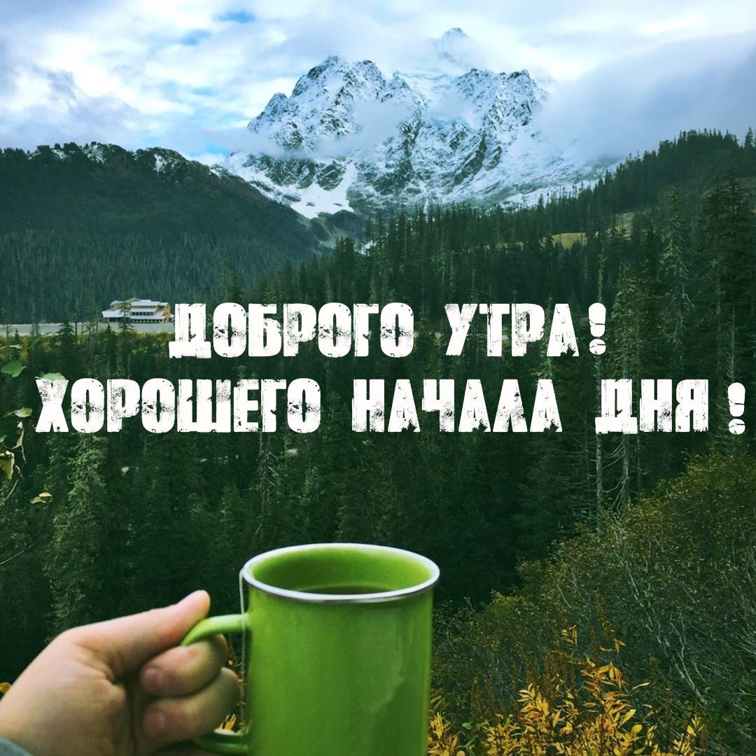 Картинки доброе утро шеф