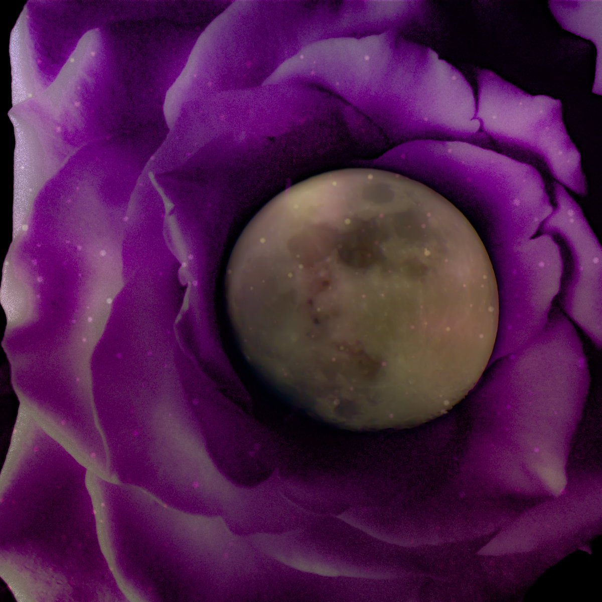 knightschance's tweet photo. #photographer #PhotographyIsArt #photoshop #orange #yellow #agameoftones #PhotoOfTheDay #roses #pictureoftheday #GOT8 #blackandwhitephotography #blackandwhitephoto #witch #pagan #cauldron #wicca https://t.co/isBAQoQ0rS