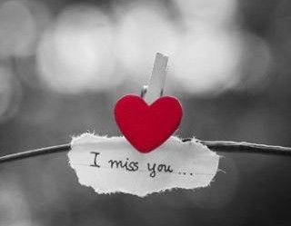AnjaSwinkels's tweet photo. https://t.co/LQKLKoLKEc