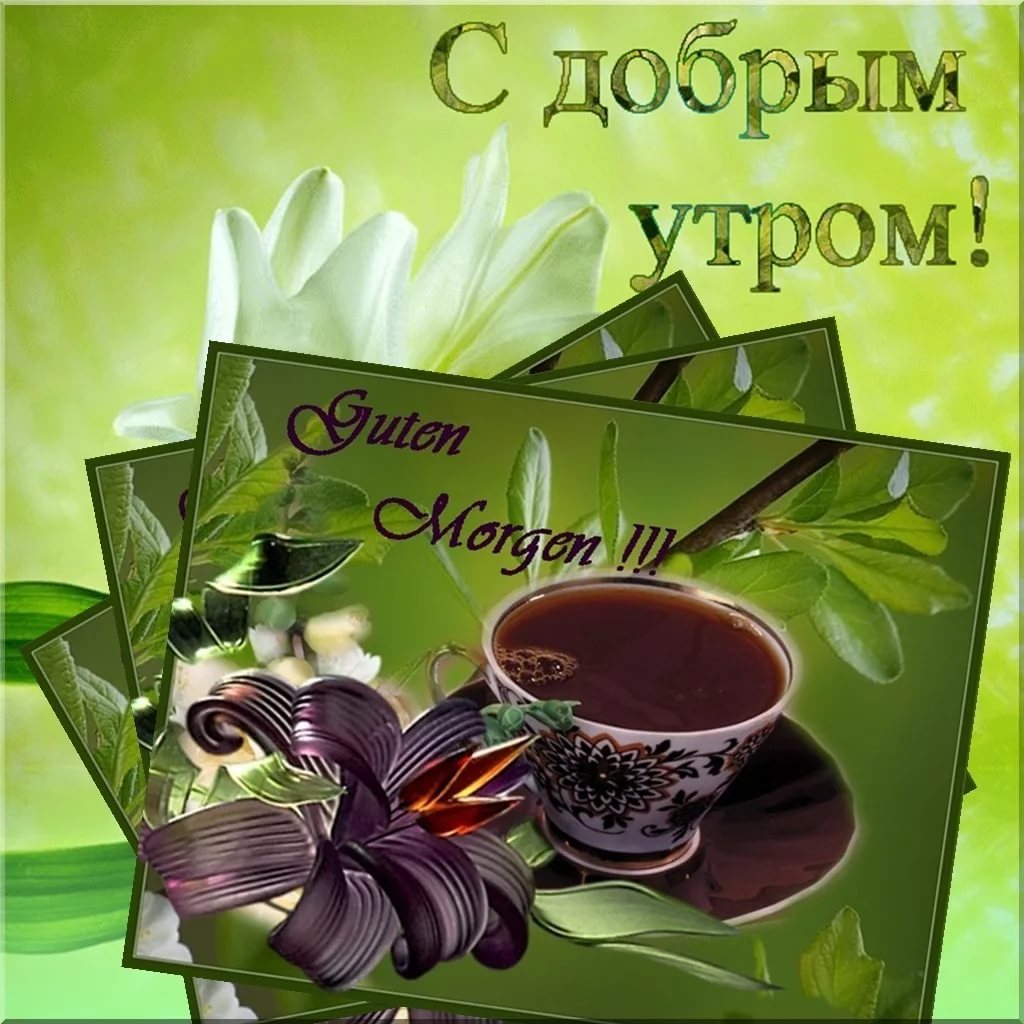 Оригинальные открытки доброе утро, картинки