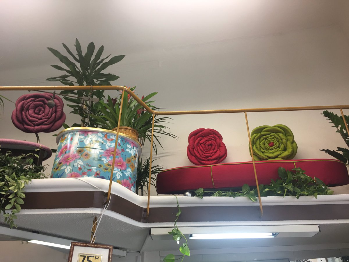 danber_emanuela's tweet photo. #FIORIsalone #fioriOvunque #fuorisalone #fuorisalone2019 #partnership tra #mobili e #fiori #esperimentoriuscito #milano #milanodesignweek #fioristaAndreoni #danberitalia #flowerscollection @DanberEmanuela @EmanuelaDanber https://t.co/20gtzni4y2