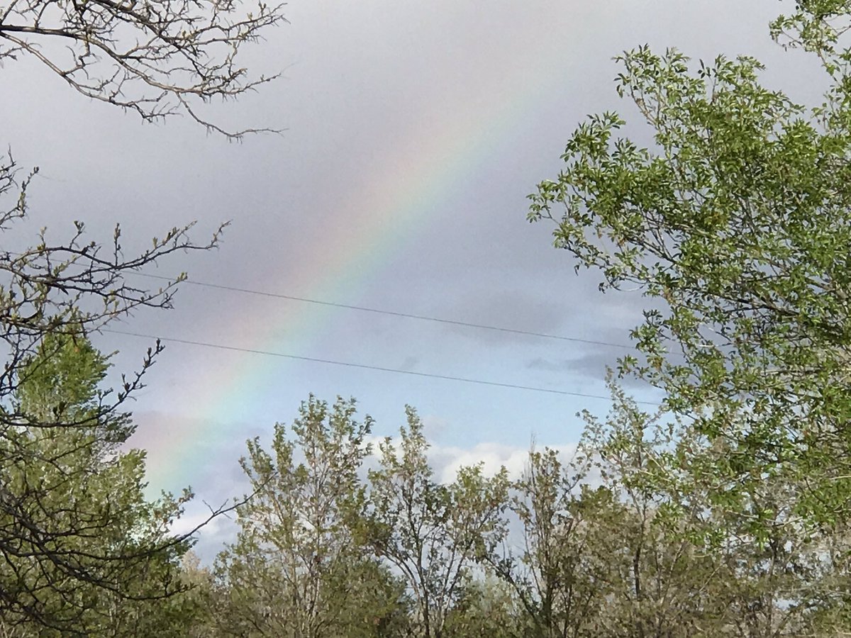alymaybe's tweet photo. Various #cloudofthehour from Saturday because I still haven’t processed how great of a cloud day it was https://t.co/8TctzQkoE7