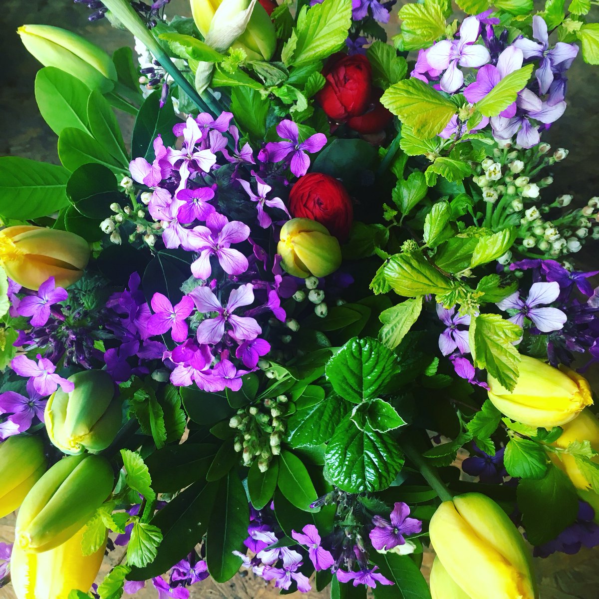 #EvelinesFlowers
Fresh from the farm flower bunches today at the Sturminster Newton Country Market, from 9 till 11.30am, the Exchange.
#specialitycutflowers #grownnotflown #smalllocalbusiness  #organicflowers