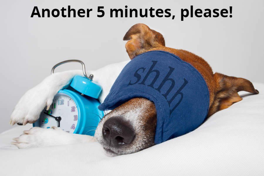 Happy Monday!

Need help paying your vet bill? Find out if you're eligible to apply for a 0%APR or low interest loan to spread the cost over affordable monthly payments. Takes less than 5 minutes....carefreecredit.co.uk/for-pet-owners/

#helpwithvetbills #helpwithvetbill #dogs #cats #pets