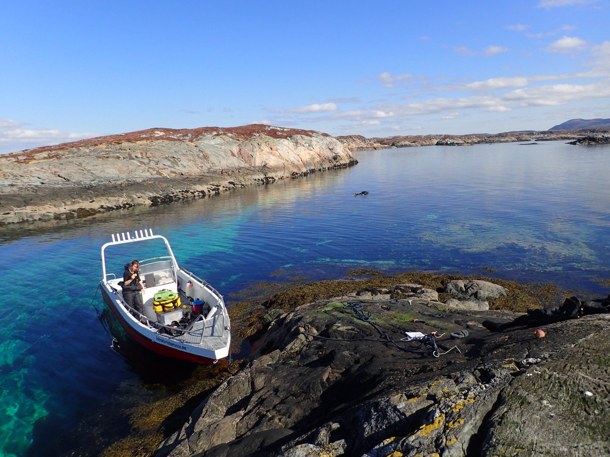 Trond_Amundsen's tweet photo. Finally, field work! The real thing! 6C in the water but whatever. #DYNAMAR #Hitra #twospottedgobies https://t.co/AplEw4fBIM