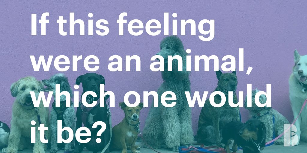 buddhify tweet media