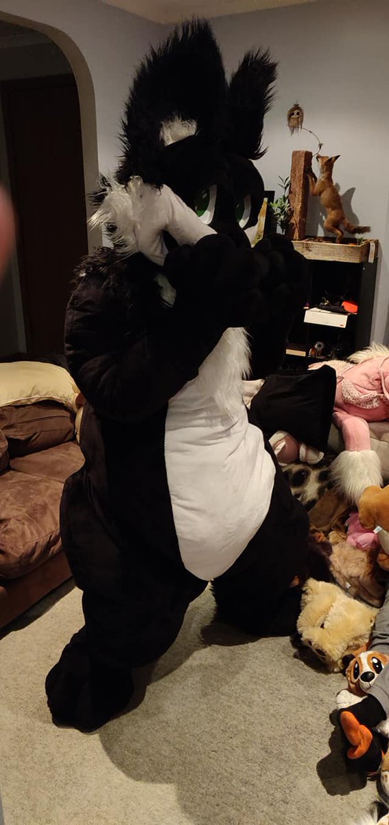 Fennles's tweet photo. Hi there! I'm Fennles, a good and kinky boy!

I just got my #plushsuit from @toy_grr and figured now's the best time to open my account!

Woof woof mutha fluffers https://t.co/5oPMB1mKWq