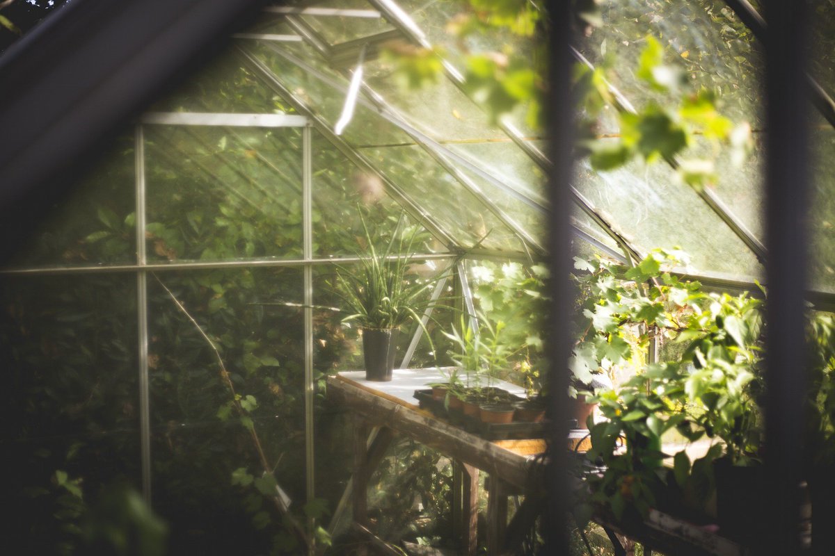 Bordbia's tweet photo. Are you considering a greenhouse? Find everything you need to know before you buy, on our website here:
https://t.co/HMKqQjxDW0 https://t.co/Bw3ko0kWhu