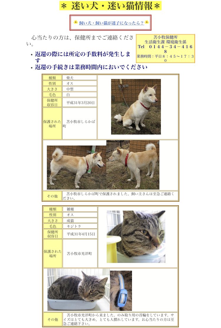 北海道 保健所 里親募集 苫小牧保健所さん 茶トラ女子が体調不安定ながら募集組に移動していました 人懐こい可愛らしい子ですが自力でご飯を食べないとのこと 2枚目は迷子組で 猫さんが新たに加わっていました 拡散希望 北海道 保健所 里親募集