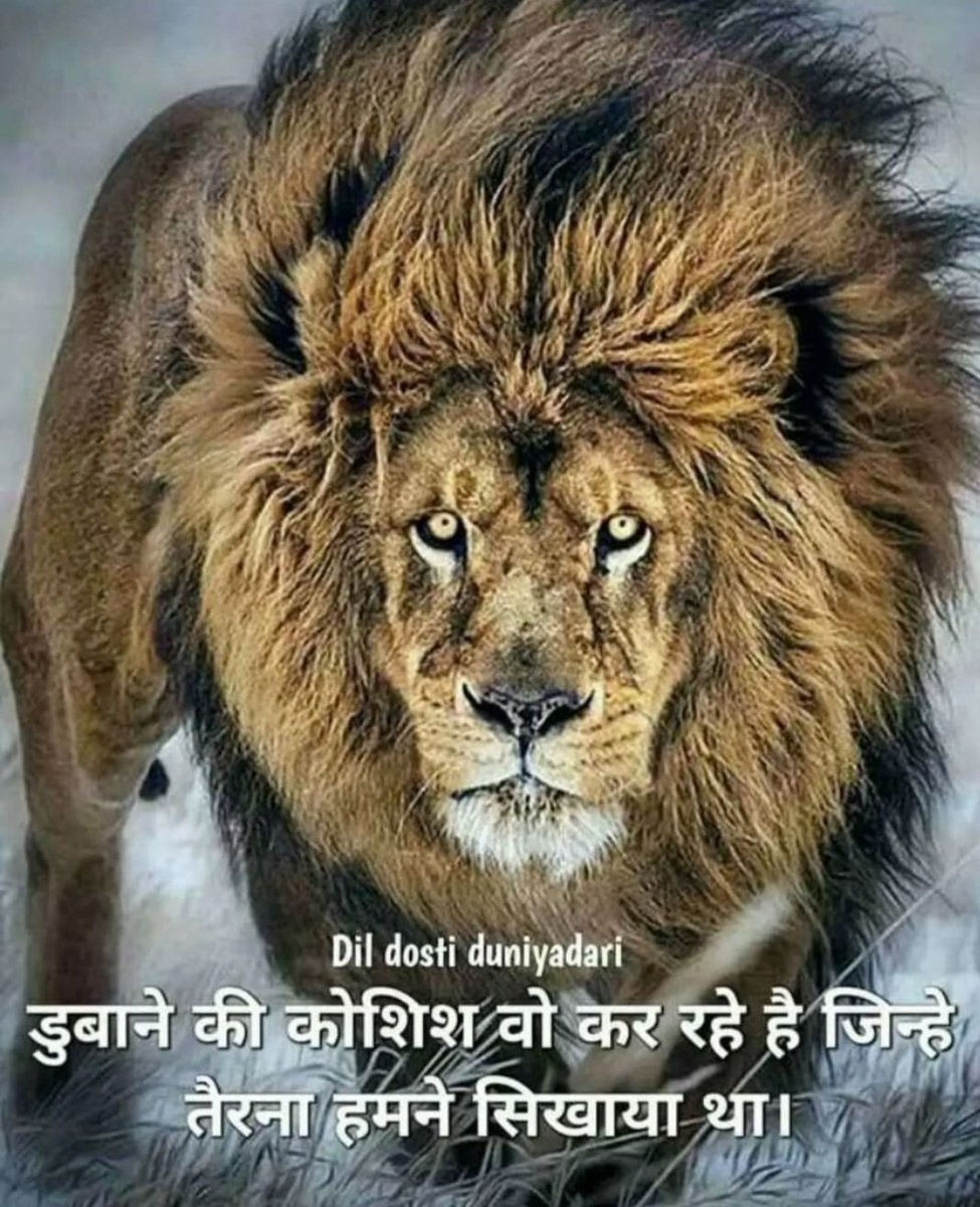 Suggest songs similar to \, image size:975x1200