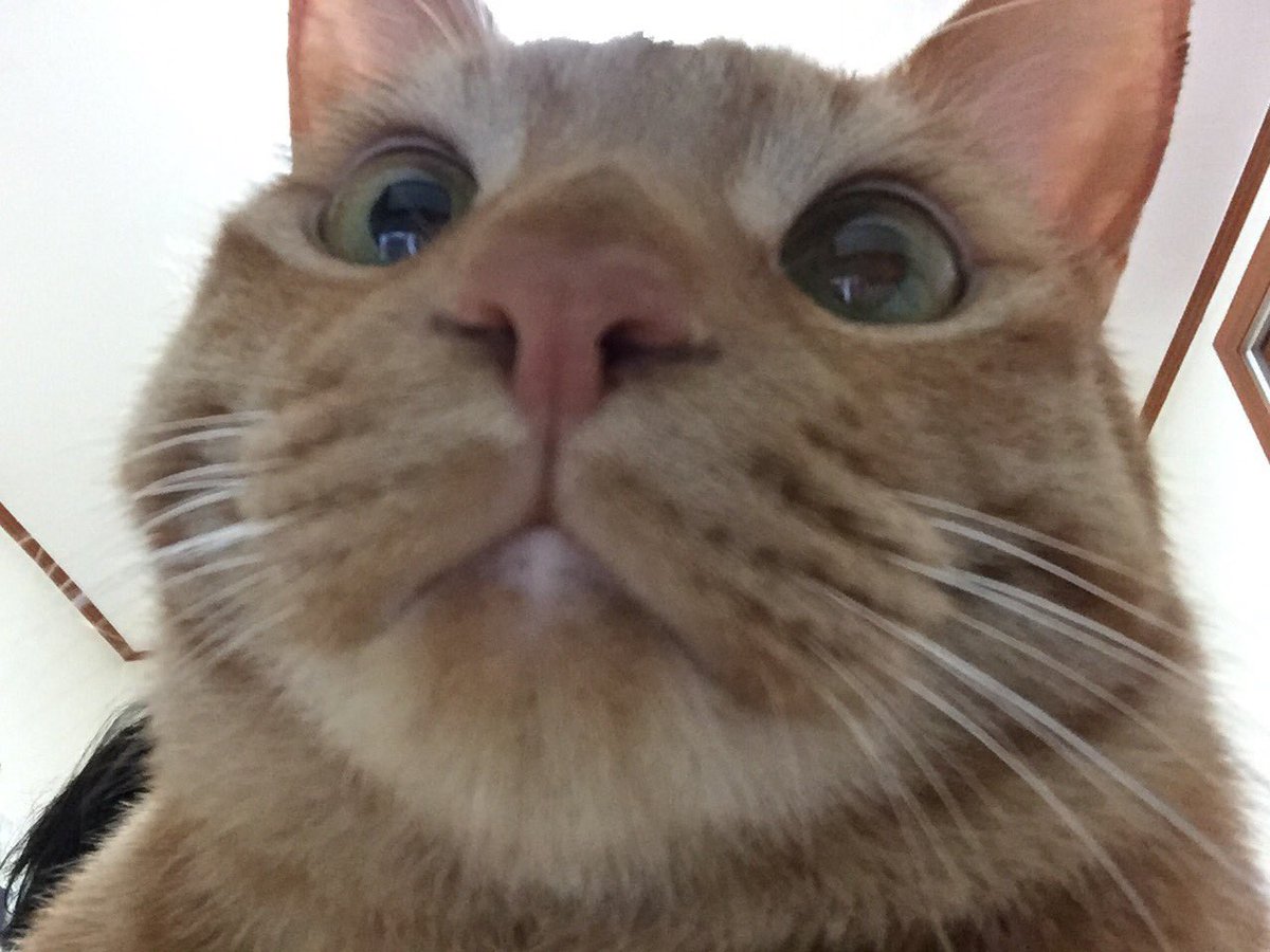 이거 라이관린 (@this_is_kuanlin) on Twitter photo 