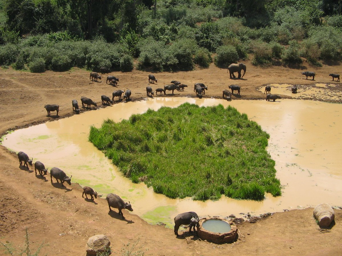 Researchers warn that commitment by countries to designate more of the planet’s land &amp; oceans as protected areas may not be achieving the desired aim of protecting biodiversity because greater emphasis has been put on actions rather than outcomes bit.do/ePqQf