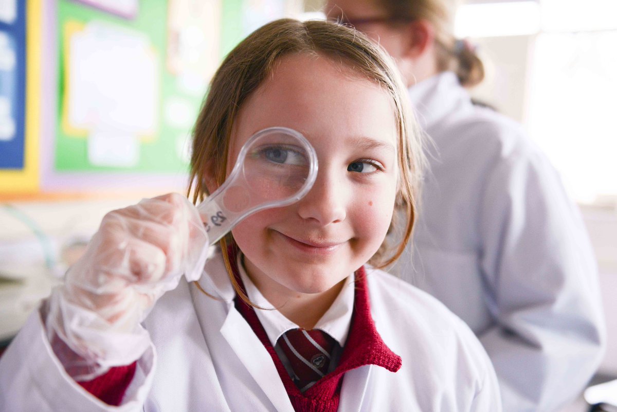 AHPrepScience's tweet photo. Come along to our next Open Mornings on Friday 3rd and Monday 6th May 9.30am till Midday.  We would love to welcome you and show you around our creative, friendly, vibrant school. #AHPrepSchool #FreedomtoLearn https://t.co/fRtqXDesAa