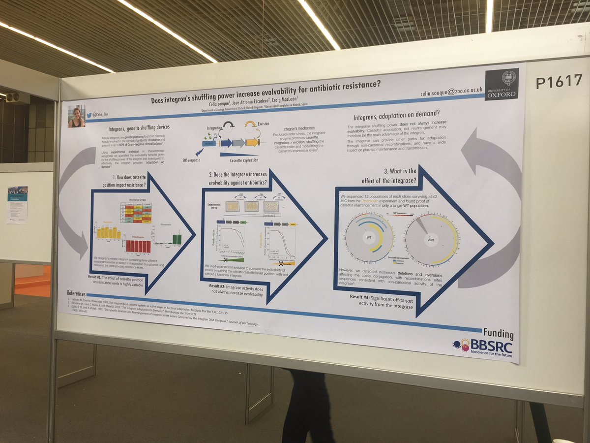 Celia_Sqe's tweet image. After the boardgame, time for some more science : come and learn more about #integrons and #evolvability at poster P1617 from 12:30 🔄🧬💊 #ECCMID2019