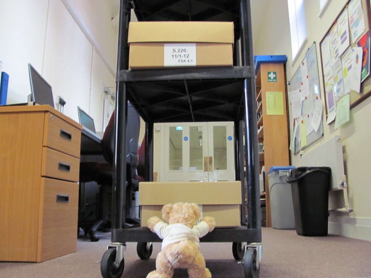 DorsetArchives's tweet photo. We have lots of different #workspaces around DHC, all suited to the various jobs we have to do. #archivebear Regis definitely likes the searchroom the best - he can take a sneaky nap on the book cushions! π΄
#Archive30 https://t.co/W0Dm8OTPOh