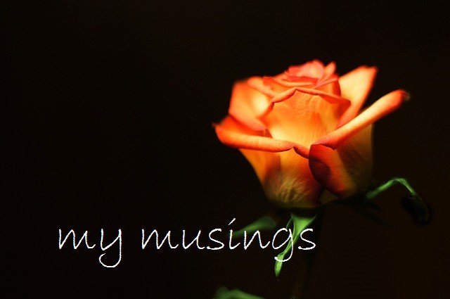 Another day we get to play. Thank you. #timetobeme #familyconstellations #lifeisprecious