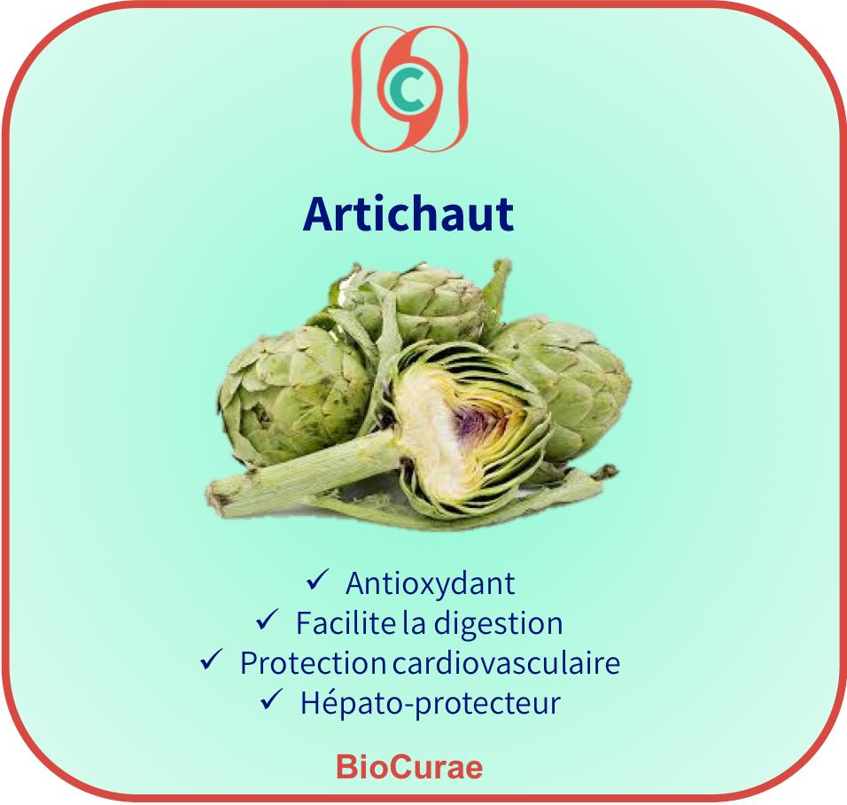 BioCurae's tweet photo. Bonjour les amis!
On vous fait découvrir le BioCore, la base des actifs naturels de #BioCurae 🍃 avec l'artichaut...
qui fait parti des plantes référencées pour ses propriétés antioxydantes, hépatoprotectrices et cardiovasculaires. #foie #digestion #santenaturelle #bienetre https://t.co/UFNjtcBkiQ