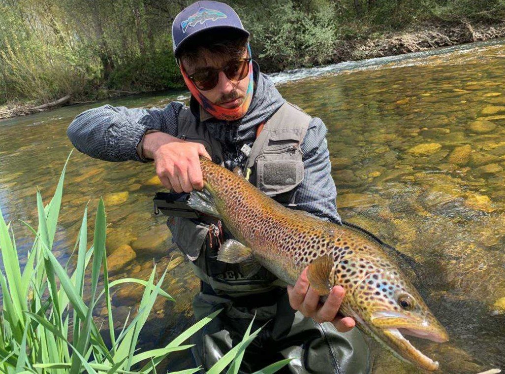 clicandfish's tweet photo. 🎣 ¡Buenos días compañeros!🎣

Comenzamos la semana conociendo a Rubenpl, el ganador de la comunidad.

Os animamos a compartir vuestras capturas y a conseguir estar entre los 3 más votados del mes de Abril.

¡Mucha suerte y nos vemos en los ríos!🎣 ¡Buenos días compañeros!🎣 https://t.co/aIcBtzuPG1
