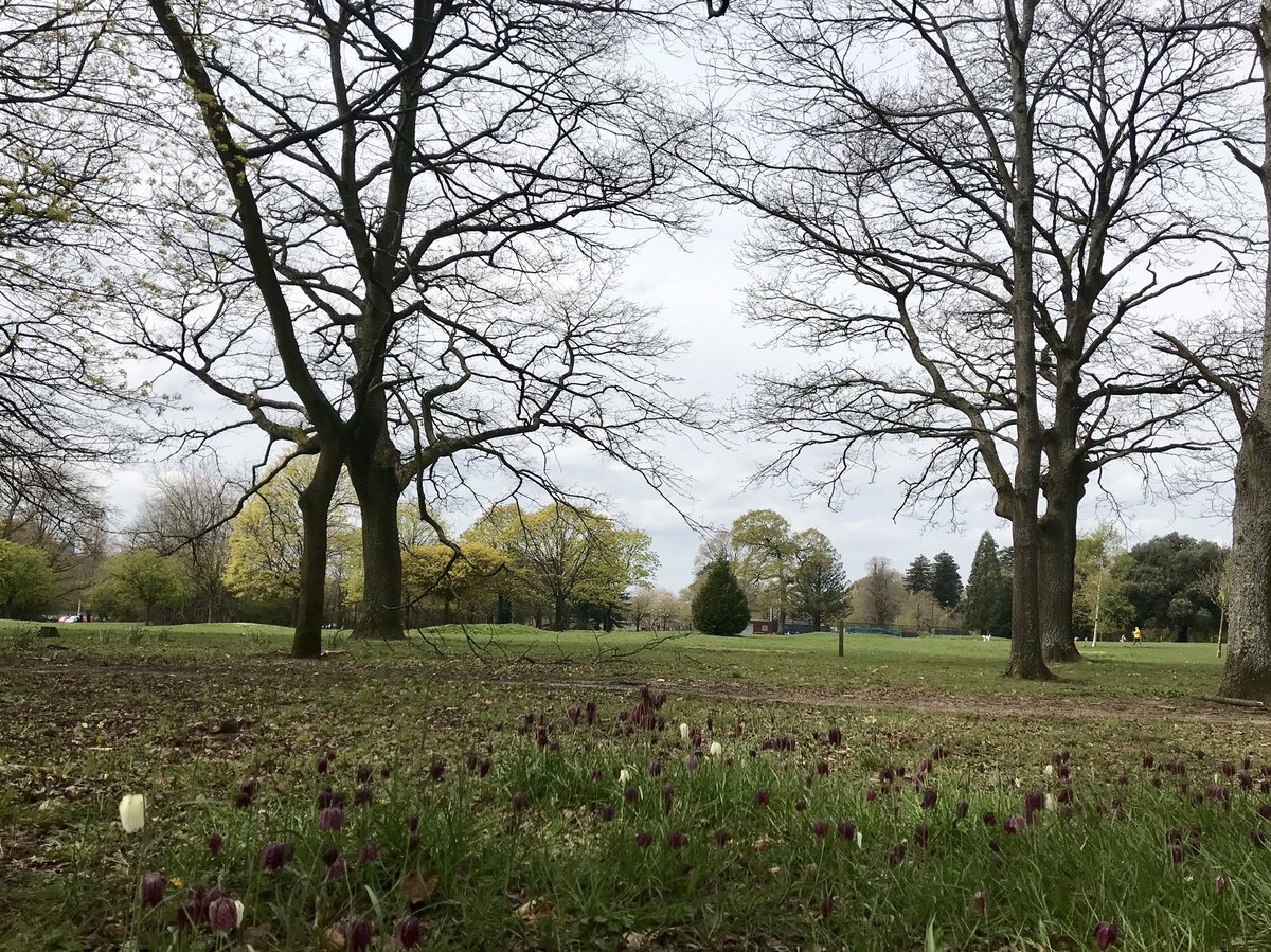 WalesLink's tweet photo. Please share your amazing photos of Spring in Wales with the hash tags #SpringInWales and #WeNeedNature. We’ll retweet all of the best ones over the Easter holidays. https://t.co/zcpxMMZaVp