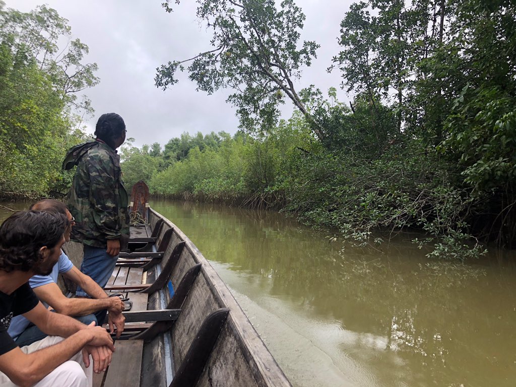 fabien_gay's tweet image. #Guyane : Ballade sur le #Maroni accompagné des chefs coutumiers #amérindiens #Kalina pour voir les ravages de #orpaillage illégal et les pirogues des #garimpeiros. #NonALaMontagneDOr