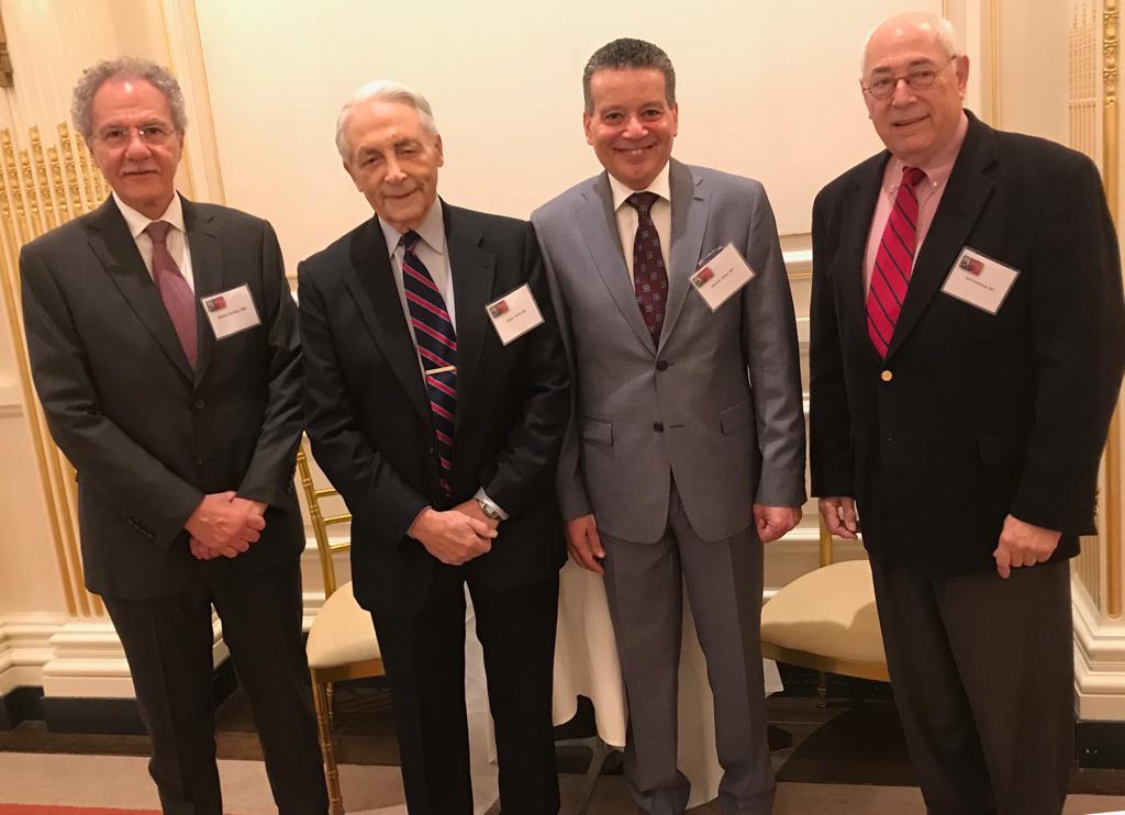 Prof Sultan at the first annual Frank J. Veith International Society Meeting
