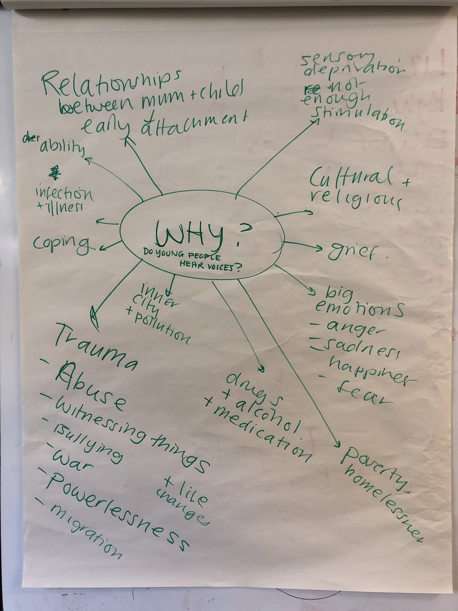 VoiceCollective's tweet photo. We’re excited to have finally met our trainees on our Group Facilitation training, who’ll be setting up peer support groups for #youngpeople #hearingvoices in their service @NHS_ELFT @MaudsleyNHS @SouthwarkHub #eastleighcamhs https://t.co/BcIksPxgRW