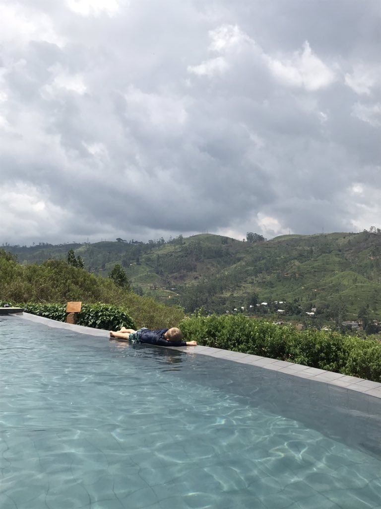 LNixon9's tweet photo. He’s zonked after a five hour drive up to the tea hills in Sri Lanka. #needscaffeine 😂

@flysrilankan https://t.co/dVpL6xvZXt