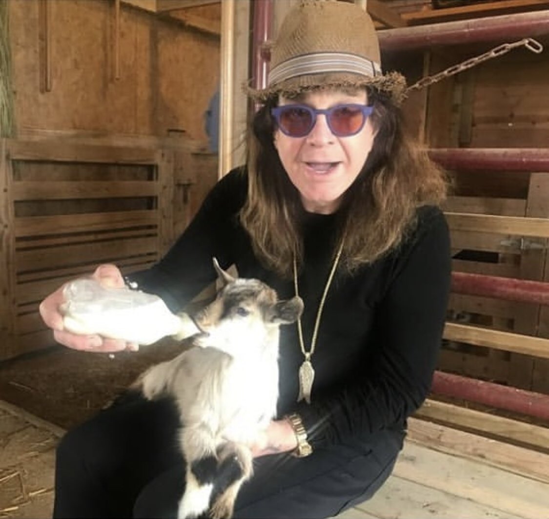 OzzyOsbourne's tweet photo. Monday Morning, get out there and feed the baby goats... https://t.co/q91KjOREu0