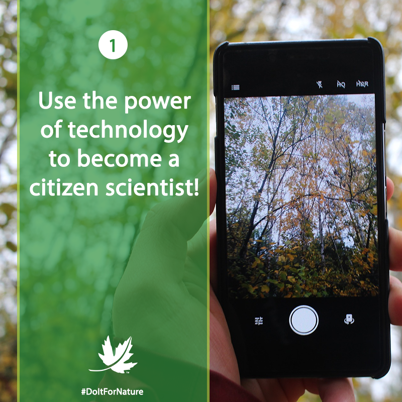 NCC_CNC's tweet photo. To celebrate #EarthDay, this week we’ll be sharing seven simple things you can do for nature. #DoItForNature

Number 1: You can contribute to science by uploading photos of the plants &amp; animals in your yard or nearby natural areas, with apps like @inaturalist and @Team_eBird. https://t.co/b7DHOOixa8