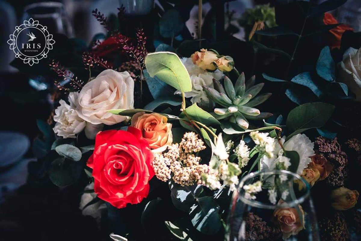 Descubre con nosotros cuáles son las flores ideales para tu evento en facebook.com/IrisEventosMex
#diseñofloral #eventostoluca #bodas #novias #xvs #novios #vivelosdetalles #Toluca #CDMX #EstadodeMexico #Metepec