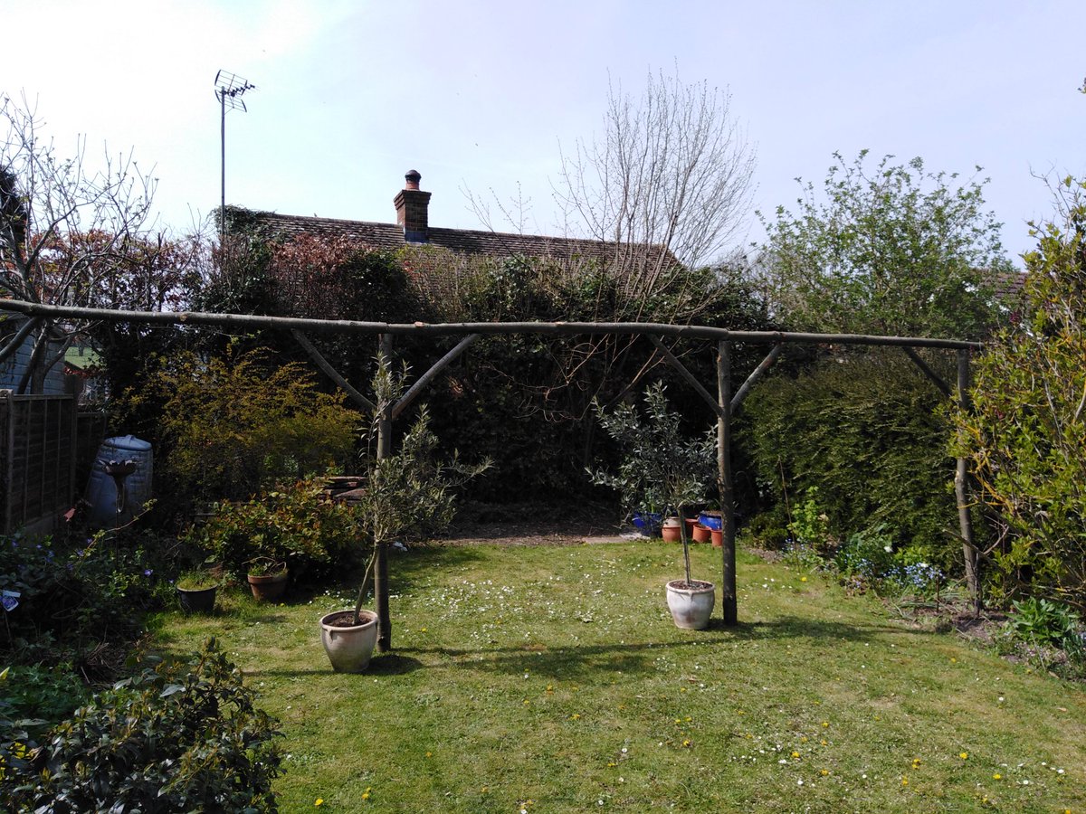 Doesn't look like much but to the 1-2-1 garden owner it's been a two year wait. 'What a difference a day makes' 🙄 #howmanymore