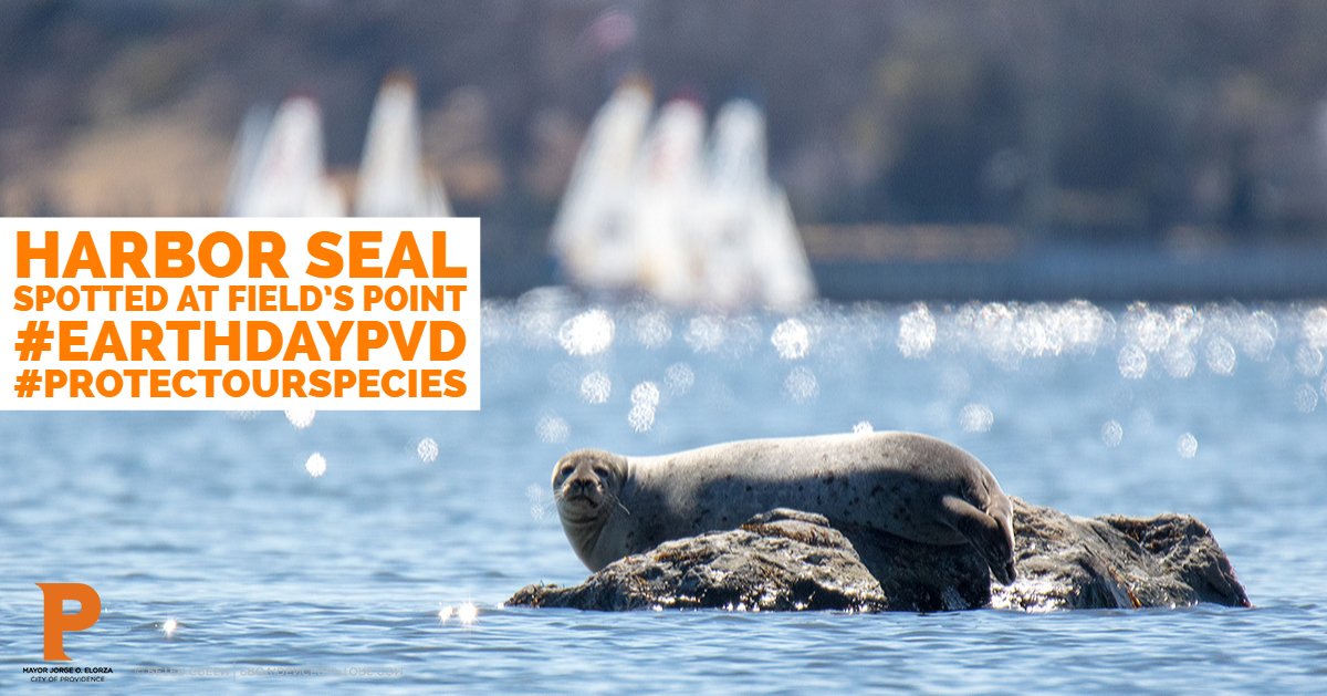 #EarthDayPVD spring cleaning w/<a href="/Jorge_Elorza/">Jorge Elorza</a> is April 27! Every piece of litter picked up helps beautify our city &amp; helps protect local wildlife. Thanks @pvdraptors for being our #ProtectOurSpecies partner! Volunteer here: bit.ly/2Ix9m4k <a href="/ProvidenceParks/">Partnership for Providence Parks</a> <a href="/RWPConservancy/">Roger Williams Park</a>