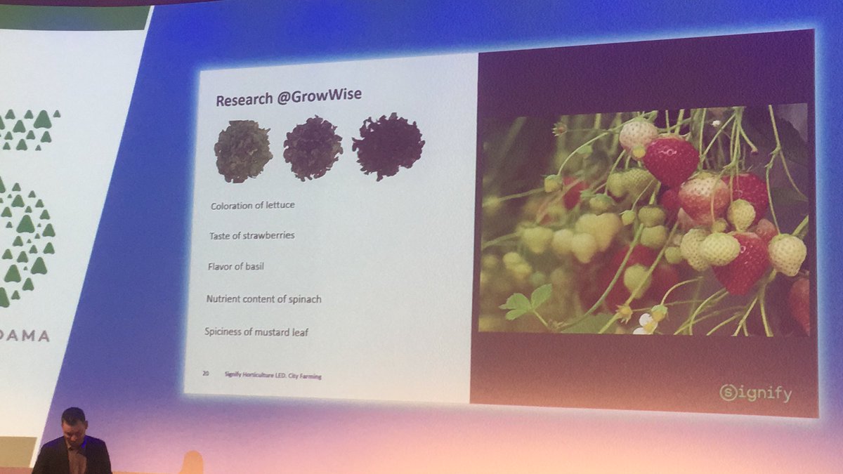 We’re being tricked! And crops as well. By controlled LED light technology can enhance certain characteristics of berries, salads and lettuces.