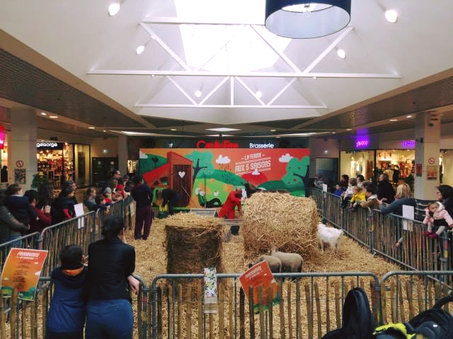 OCMeve's tweet photo. Retour en photos sur cette semaine passée sur le thème de la Ferme qui a eu lieu dans la galerie marchande de votre centre commercial Cotentin de La Glacerie. 🐰🐷🐮🐔🐖🐏🐐🐇 https://t.co/WiAHCIfUhl
