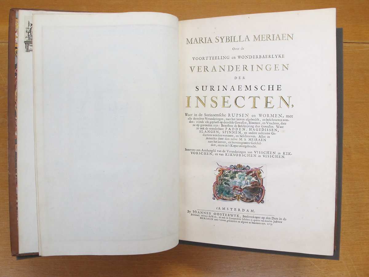 At a time when few women were educated or literate- and rarely travelled- German born Merian travelled to the Dutch colony of Suriname at the age of 52 to observe insects in their natural habitat. ‘Metamorphosis’ was published on her return at her own expense.