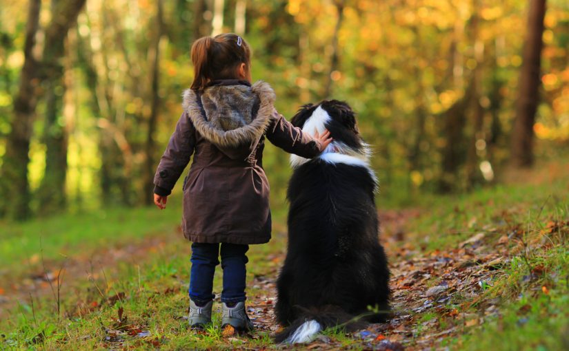 Cosas de Peques tweet media