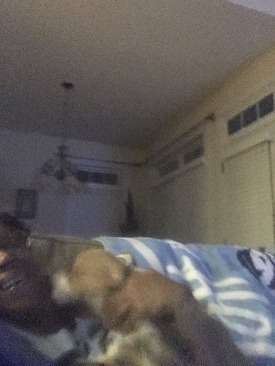 TheKoinoiah's tweet image. “To work up to loving God, start by loving the very humblest and simplest things, and then move up from there.” -St. Bonaventure (1221-1274) #sheerjoy #simplelove #puppies