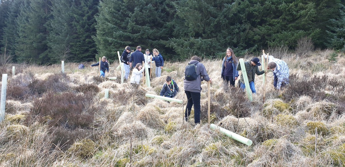 WeyesCNE's tweet photo. Great Day at Kielder last week thanks to @NEE_Naturalist Lantern Fund Appeal, @AlbionOutdoors  and @NorthWildlife learning about red squirrels, protecting biodiversity, water voles and planting trees. https://t.co/hcsF4cNBNu