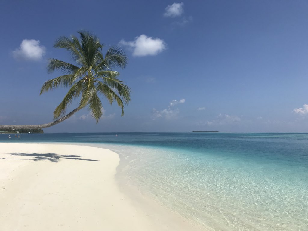whywouldyougo's tweet photo. Good afternoon from the #Maldives. May you have a beautiful day! #travel @ConradMaldives #rangali #looksfakebutitsreal #spectacular #view #blueisbeautiful https://t.co/vXwv3w4zlF