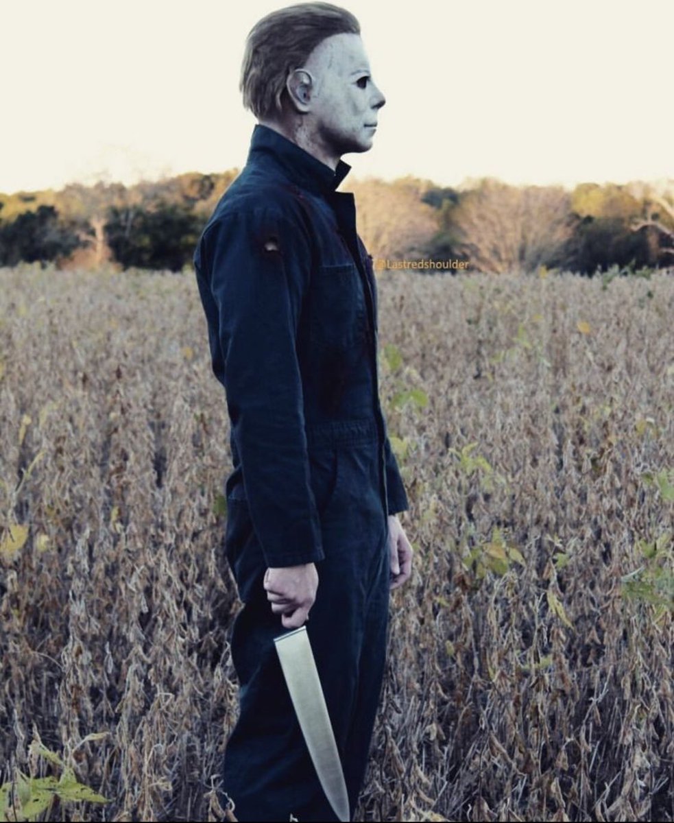 TheDeadZon3's tweet photo. Welp... Here goes. #MichaelMyersMonday 
@elo_rob @Horror_Disciple @marcelayepiz1 @DarknGrim1 @JacsAriana @CreepiesRobin @1carolinagirl @foggy_lungz @TommyDoyle47 https://t.co/qzU48H0li3