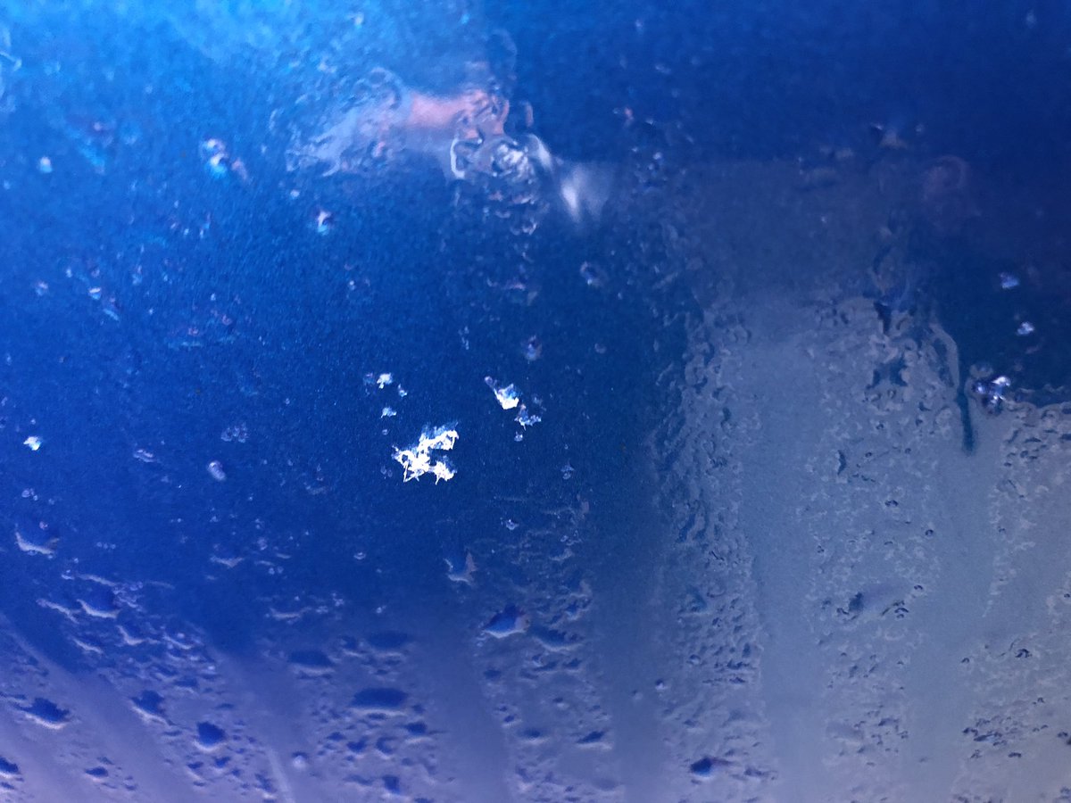 Kate Bueckert tweet media