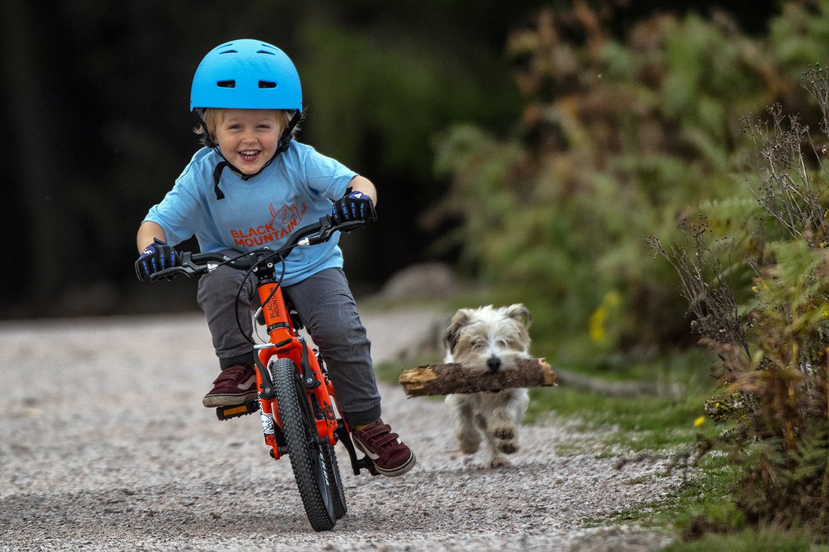 Black Mountain Bikes tweet media