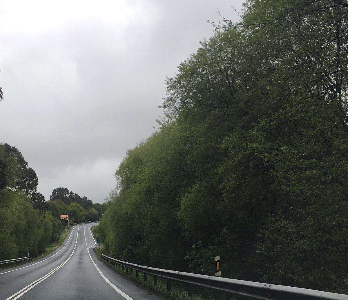 MaltratoPaisaxe's tweet photo. Aplicación correcta da #LeideMontes na estrada de Curtis Teixeiro: os #eucaliptos teñen que gardar a distancia para evitar incendios, namentres as autóctonas poden estar nas beiras da estrada @Artritris https://t.co/9NT5G8naM2